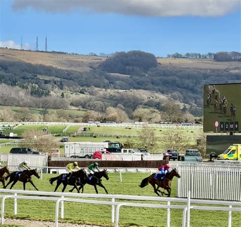 cheltenham live results|cheltenham results today's results.